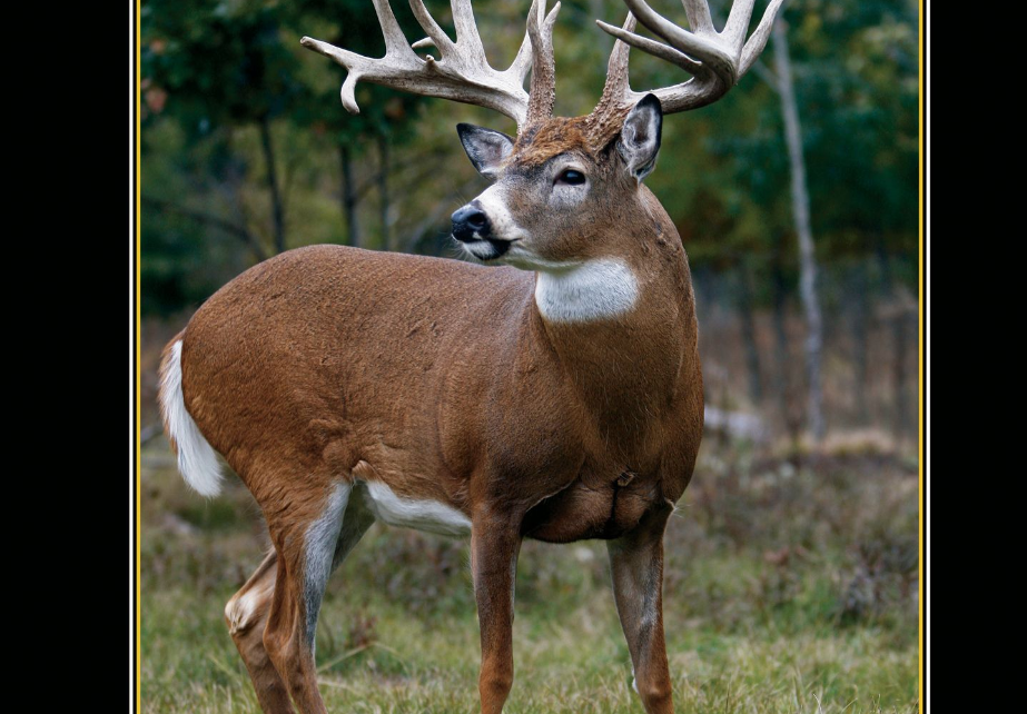 Missouri deer season opening day 2013